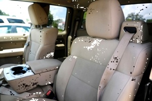 2005 Ford F-150 